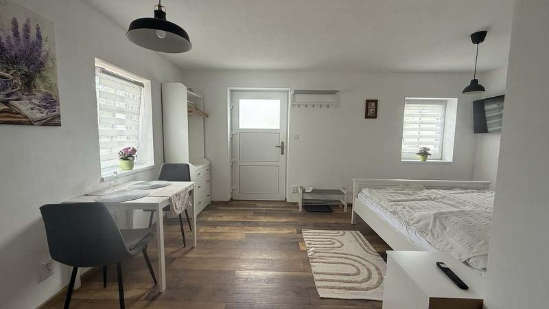 Apartmán 2: postel, pracovní stůl a vstupní dveře