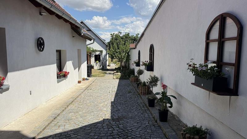 Dlážděná sklepní ulice s bílými domky a květinami v oknech