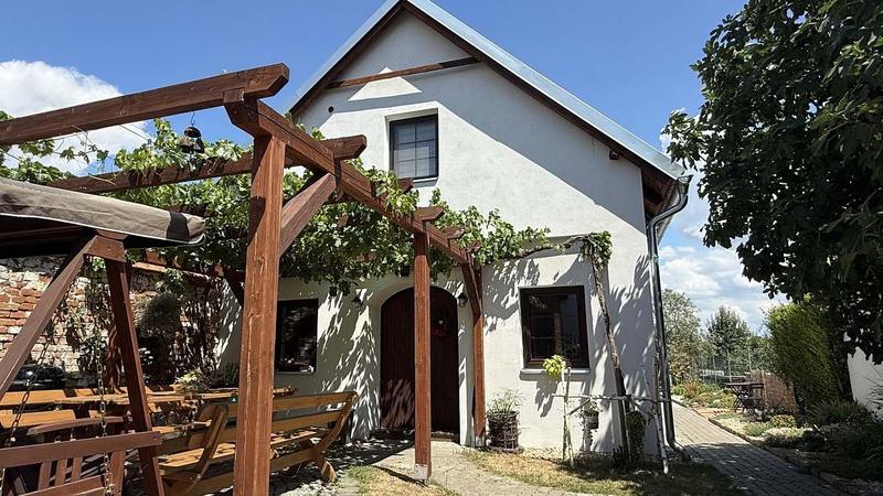 Dřevěná pergola s révou před bílým domkem s obloukovými dveřmi sklípku